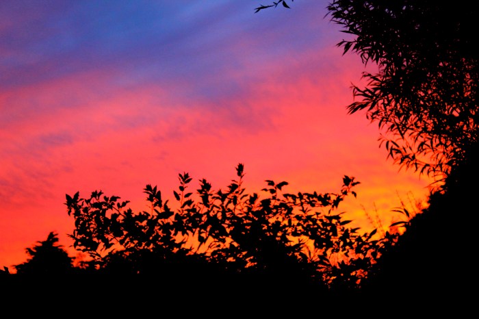 Beautiful sky last night