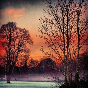 10806353_10152601264404139_2532358864806651365_n